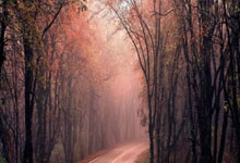 悟空体育：卡扎伊什维利抽射破门当选亚冠东亚区第7轮最佳进球.