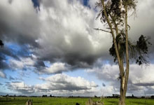 [田径]文晓燕打破女子跳远T37级世界纪录央视网.