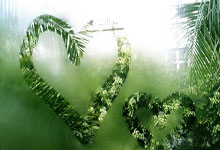 悟空体育：李喜林篮球绝杀20小时前.