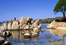 悟空体育：中足联获批成立 中国足球发展新动向.